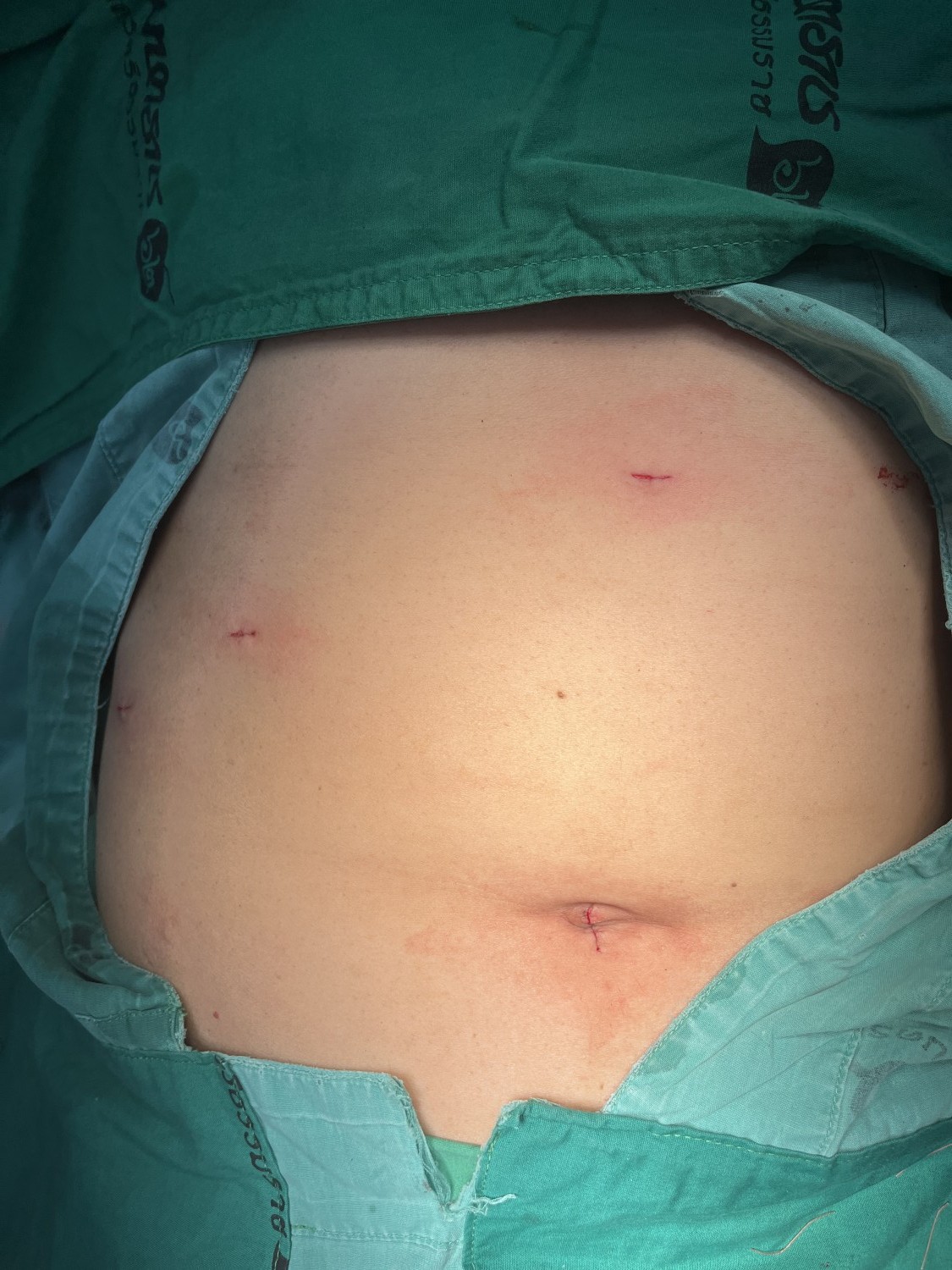 ภาพประกอบ 12